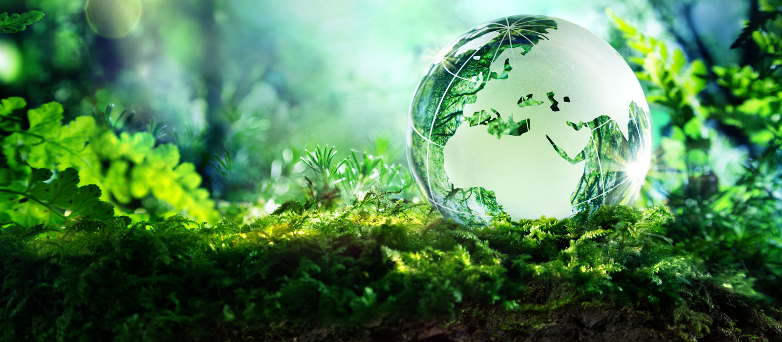 GESTIÓN AMBIENTAL II 